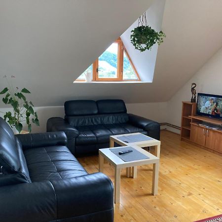 Apartman Pod Laznema Jeseník Exterior photo